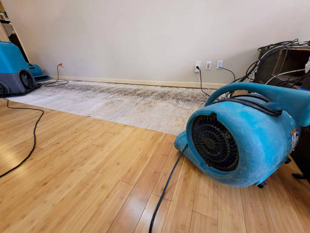 Professional Structural Drying technician working in Ogden, IA